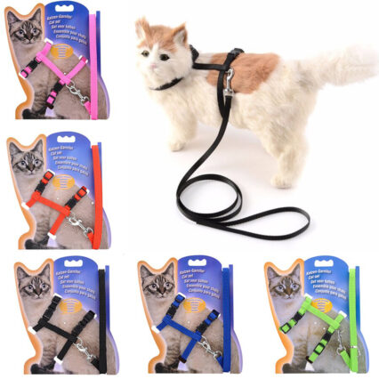 Adjustable Cat Belt Harness