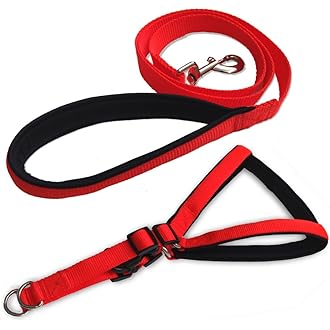Nylon Adjustable Dog Herness Leaeh Set With Heavy Hook Dog Collar & Leash
